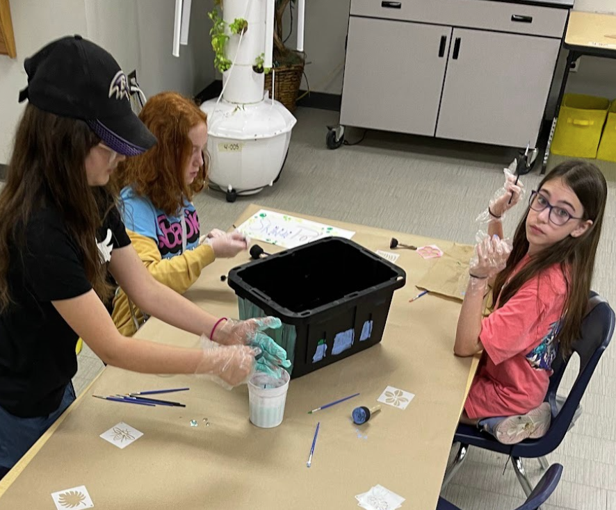Box decorating
Before they can plant, students paint and decorate the boxes. Sydney Olsen, Jocelyn Shaw and Kaitlyn Davis were working on their box.