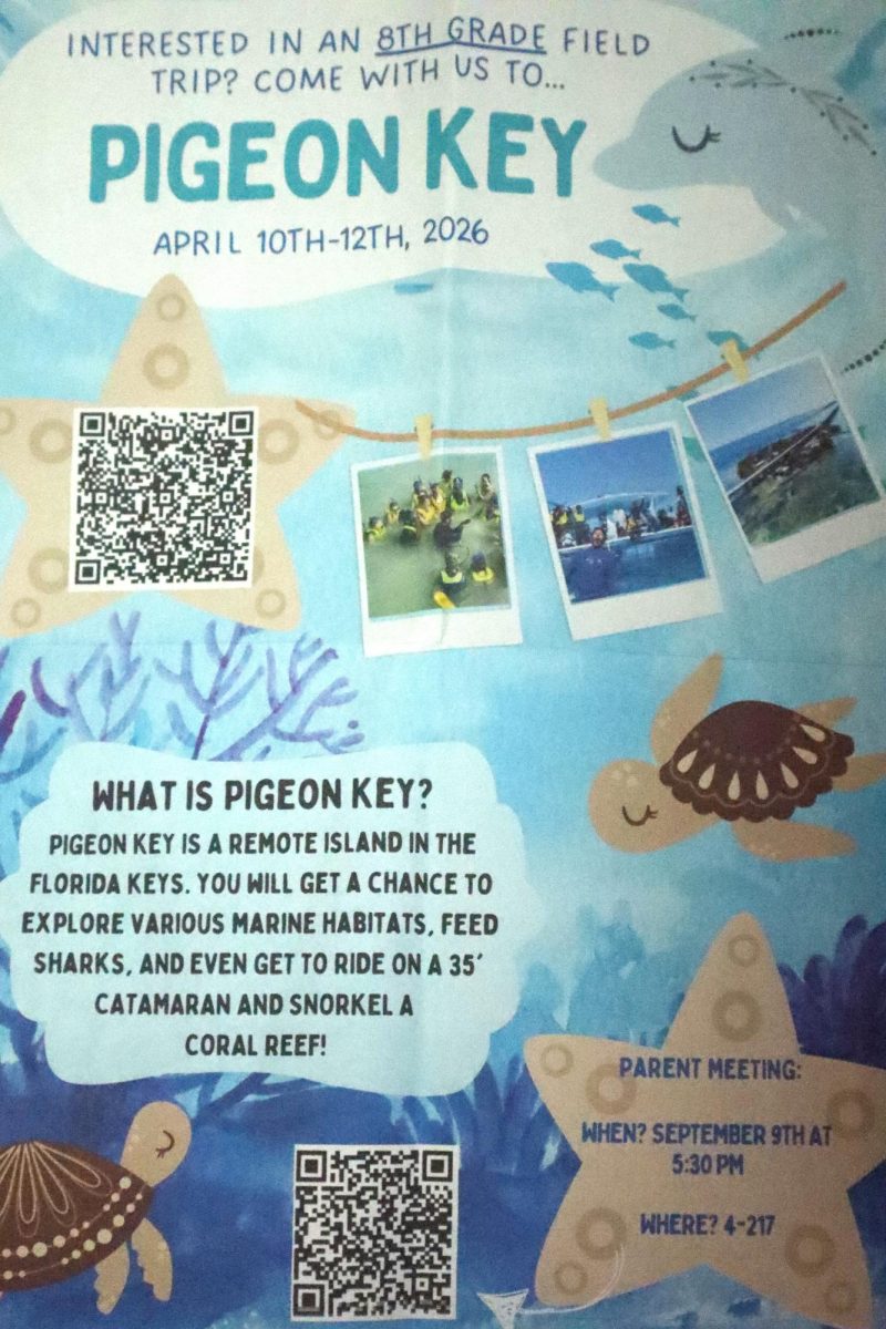 Pigeon Key Field Trip