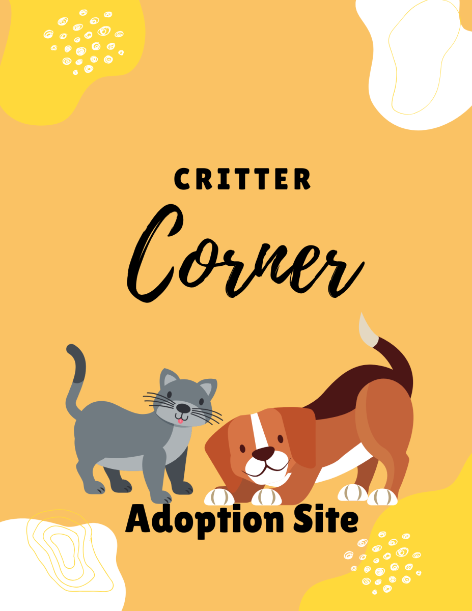 Critter  Corner Week 4