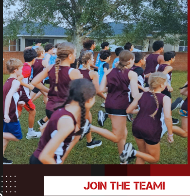 This is last year's team. You could be a part of this year's! The girls JV team actually won the championship for county last year!