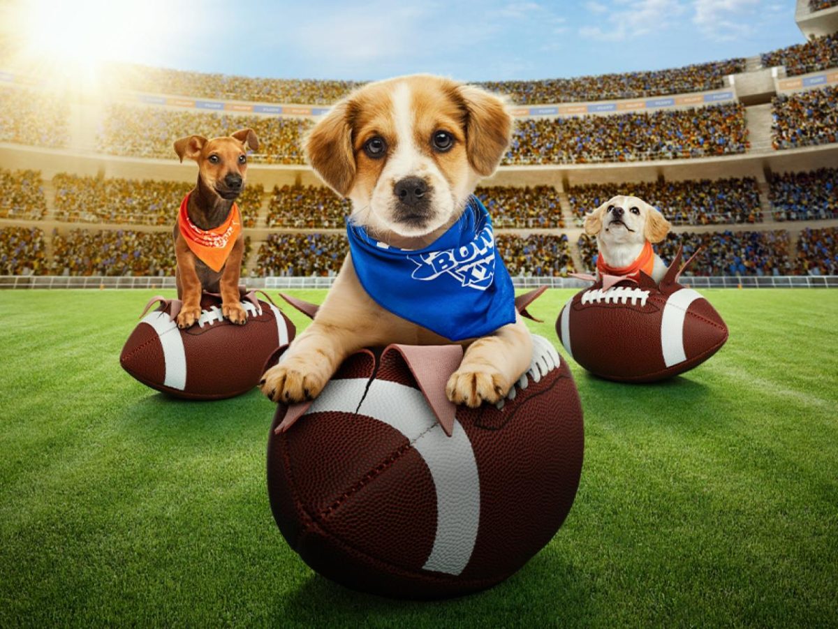 Puppy bowl