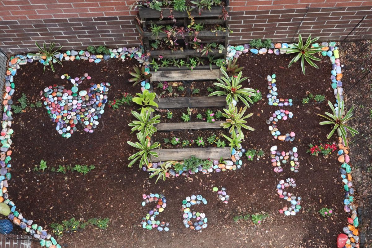 LCMS rock garden
