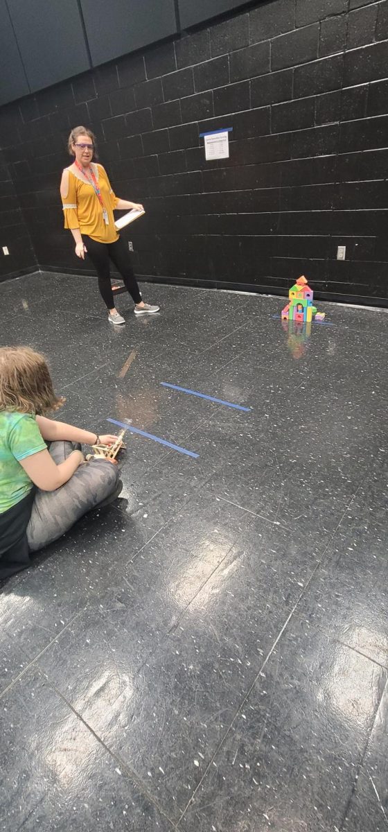 Science Fair Class Catapults