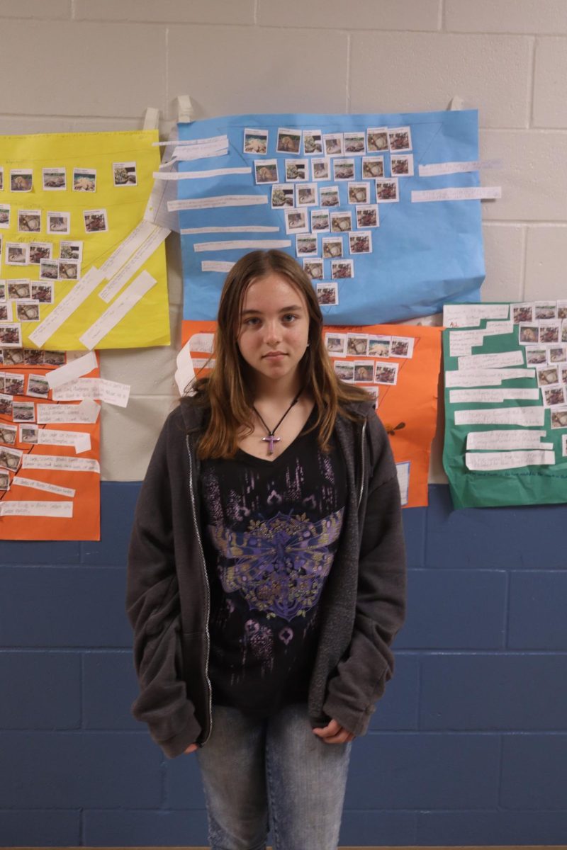 Over summer Chloe Ainsworth is going to Venice Beach, not just to go swimming. " I'm going snorkeling for shark teeth," said Ainsworth.